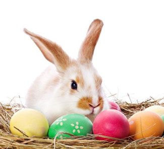Hase mit Ostereiern